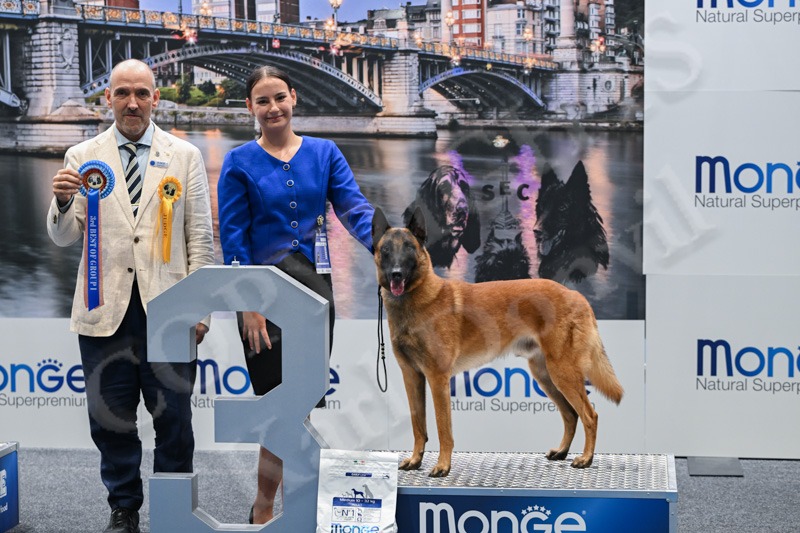 3rd — Augustin Gran Guardia Di Evonny