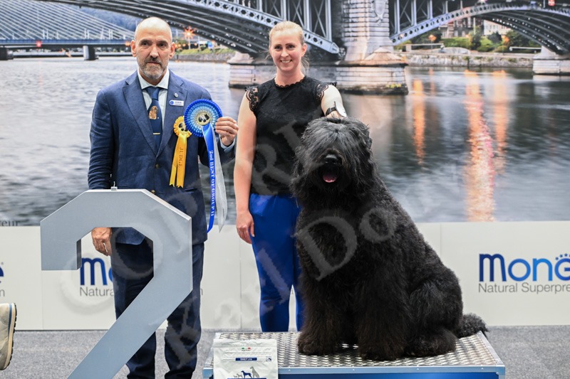 2nd — Thor Naslednik Hazara Vom Dubrava
