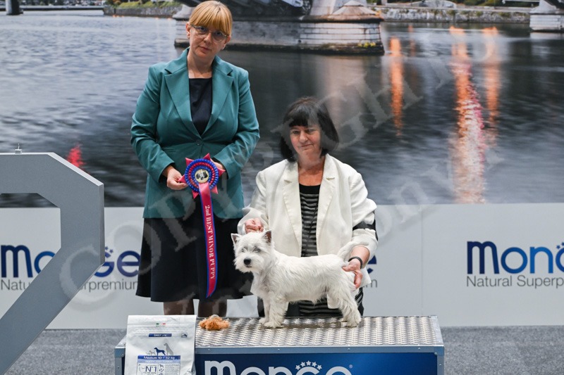 2nd — Zhen Zhu Dolce Con Spirito