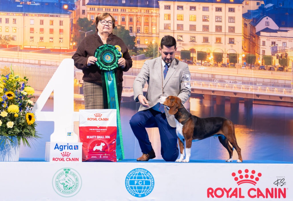 4th — FOX SFORA SZULISTA